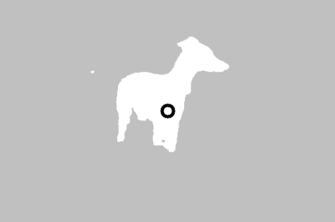 The outlined shape of the dog from the previous image
