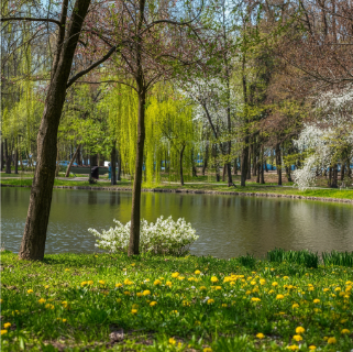 تصویر نمونه واقع‌گرایانه ۱