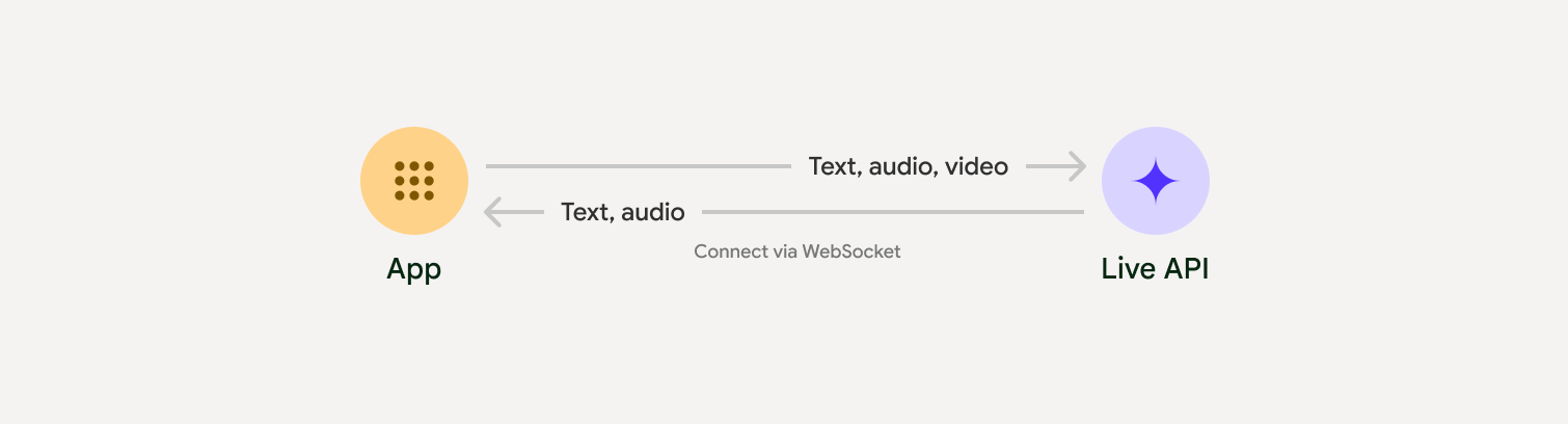 লাইভ এপিআই ওভারভিউ