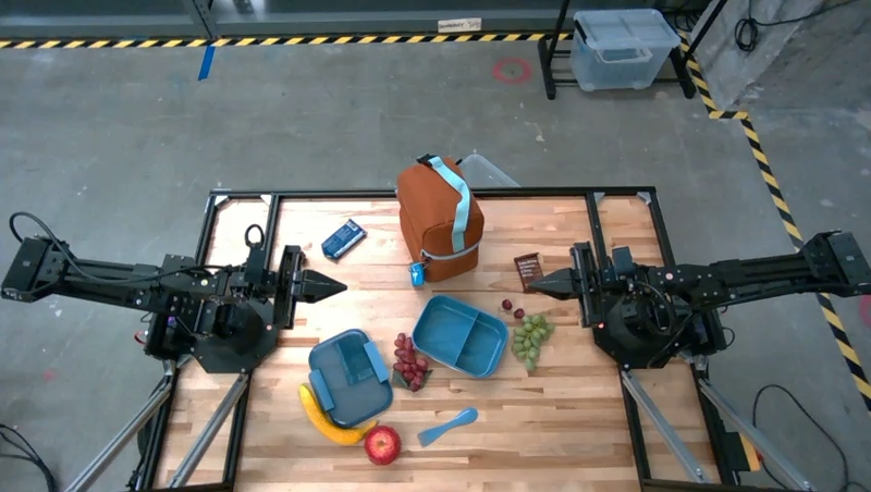 An image of a lunch box and items to put into it