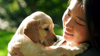Küçük bir kızın kollarında bir köpek yavrusu.