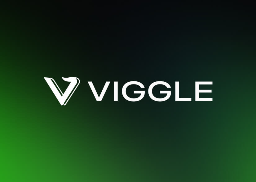 Viggle 展示预览