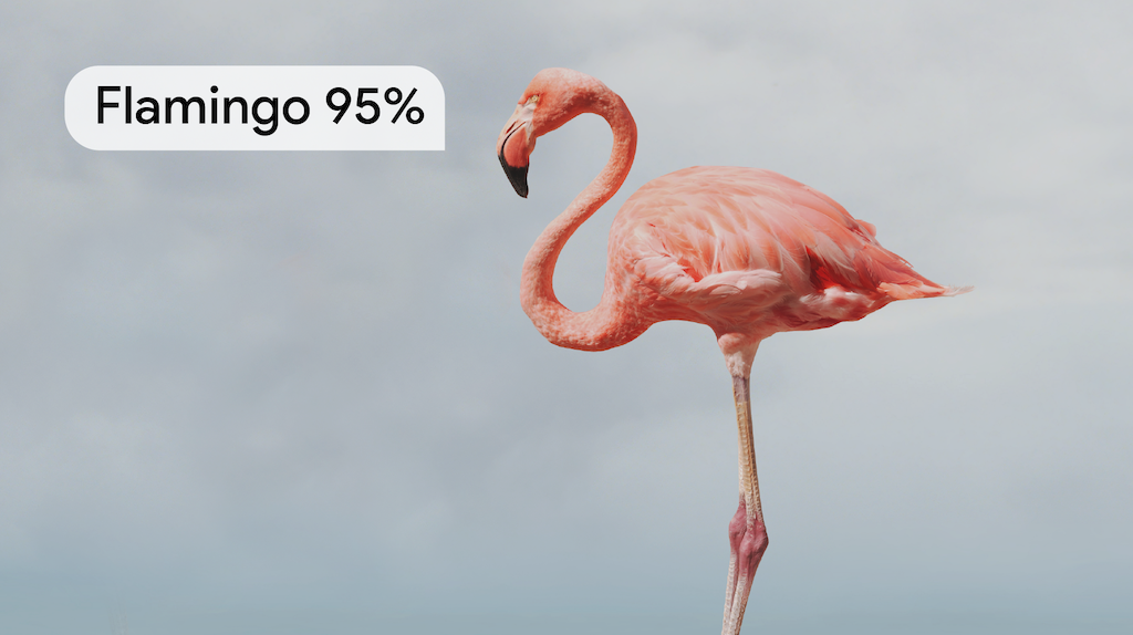 An animal correctly labeled as a flamingo with a 95% confidence rating