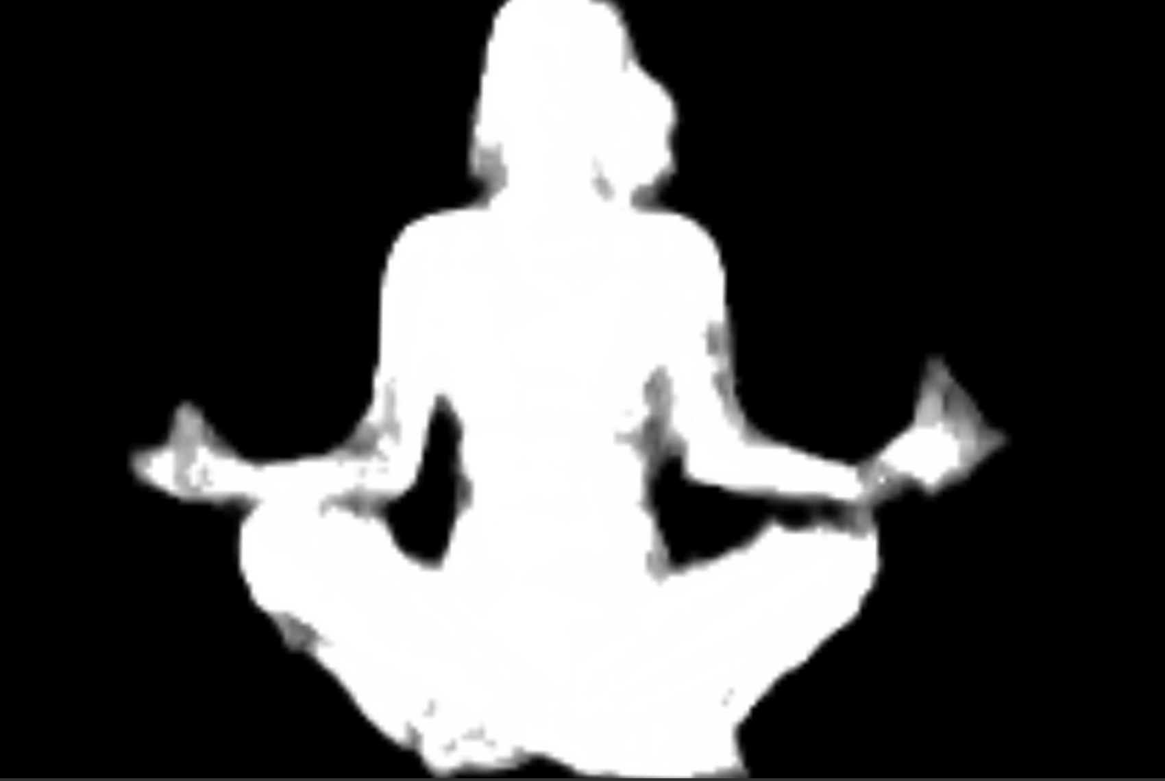 Segmentation mask of the previous image that outlines the shape of the woman